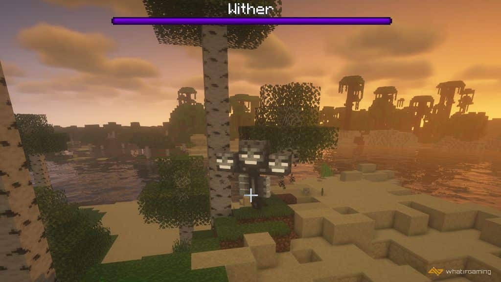 The Wither Minecraft