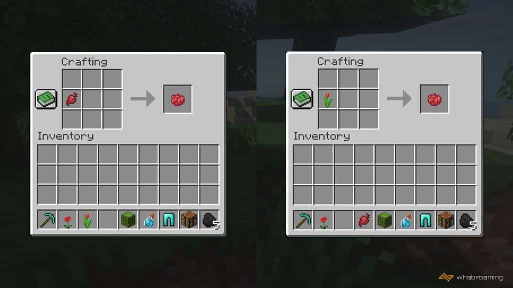 Red Dye in Minecraft