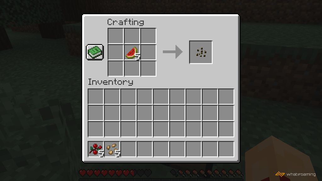 Where to Get Seeds in Minecraft