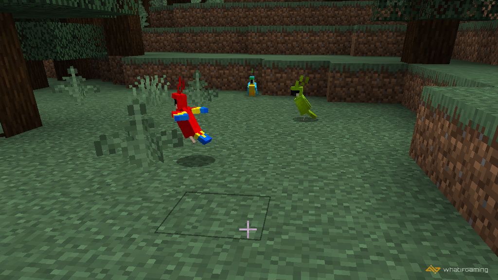 Finding A Parrot in Minecraft