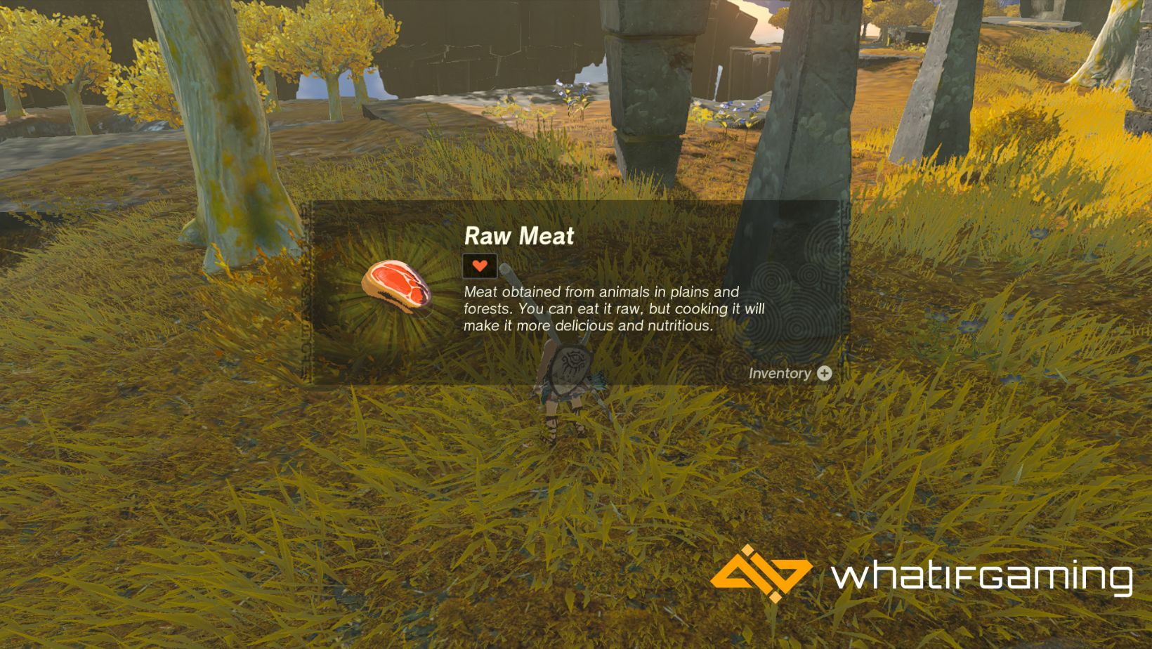 Raw Meat