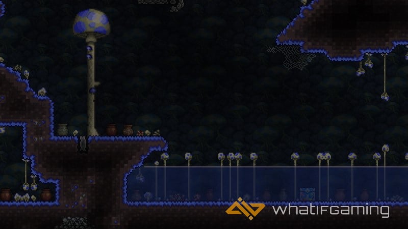 terraria natural glowing mushroom biome