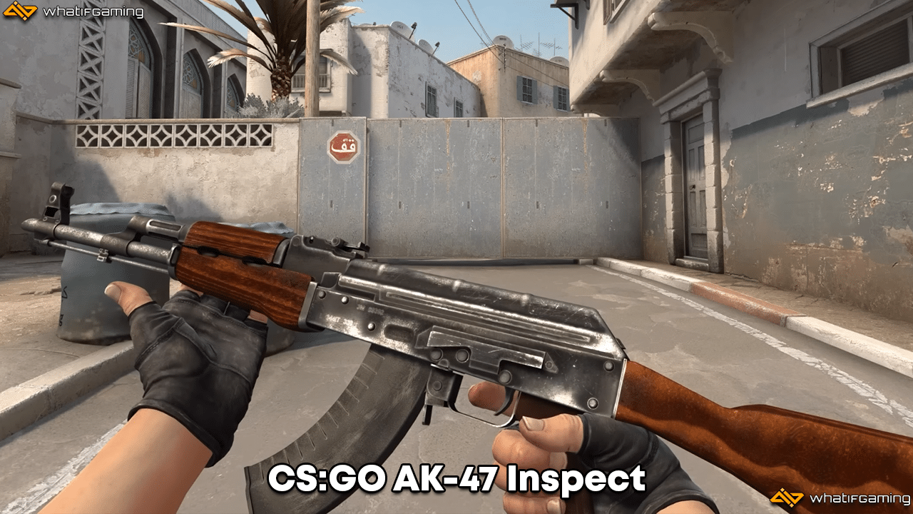 CSGO AK-47 Inspect.