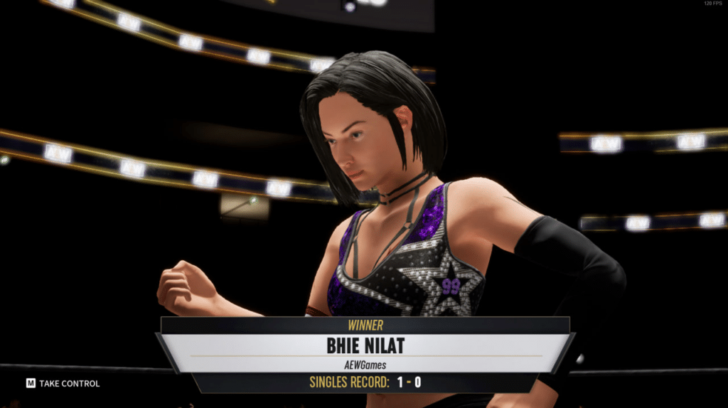 AEW Fight Forever custom character