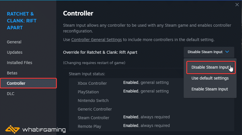 Disable Steam Input