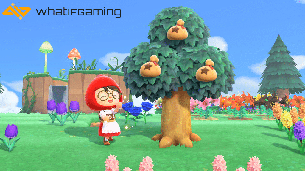 A fully grown Animal Crossing Money Tree