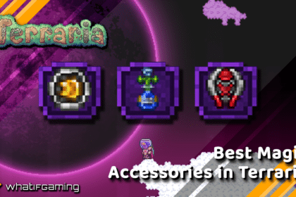 Best Magic Accessories in Terraria