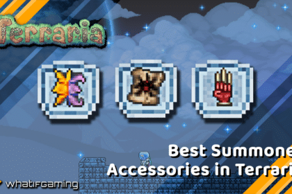 Best Summoner Accessories in Terraria