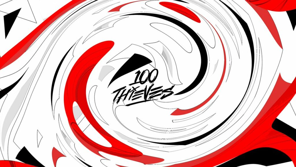 100 Thieves banner