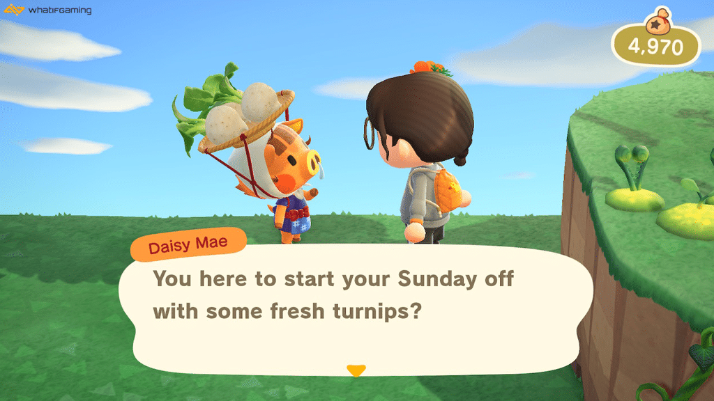 The best way on how to get turnips in Animal Crossing is by buying from Daisy Mae