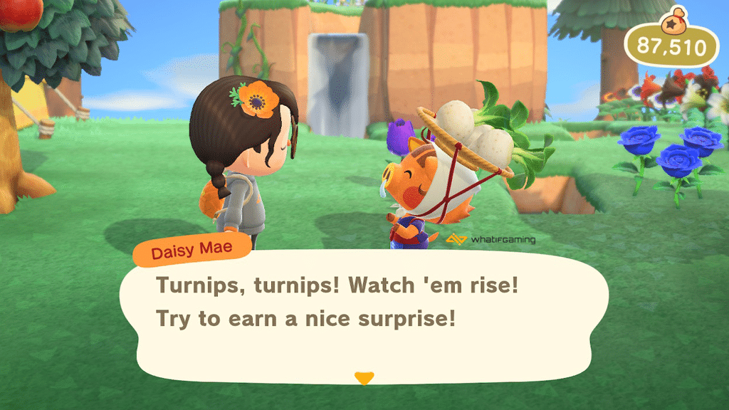 Selling turnips is still one of the best ways to get Bells in Animal Crossing