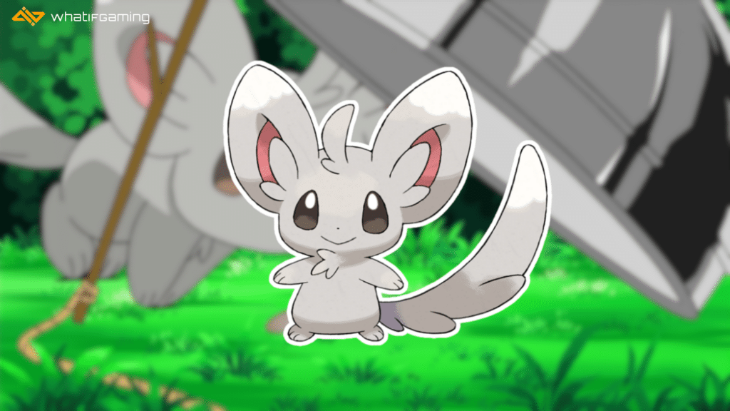 Image of Minccino.