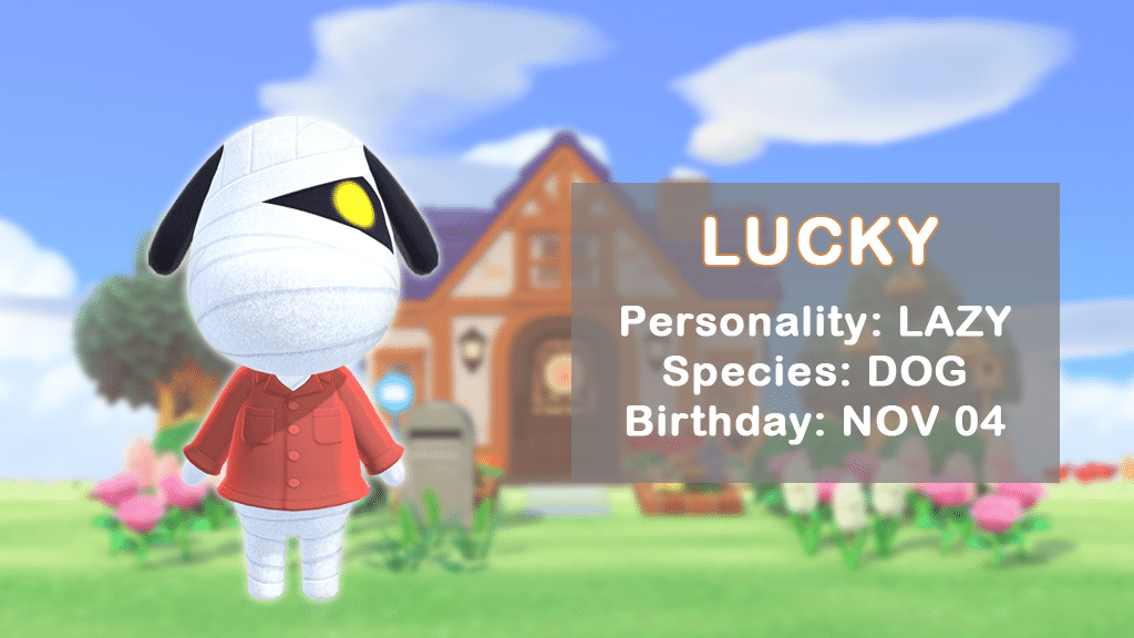 A profile of Lucky, a popular Animal Crossing dog villager.