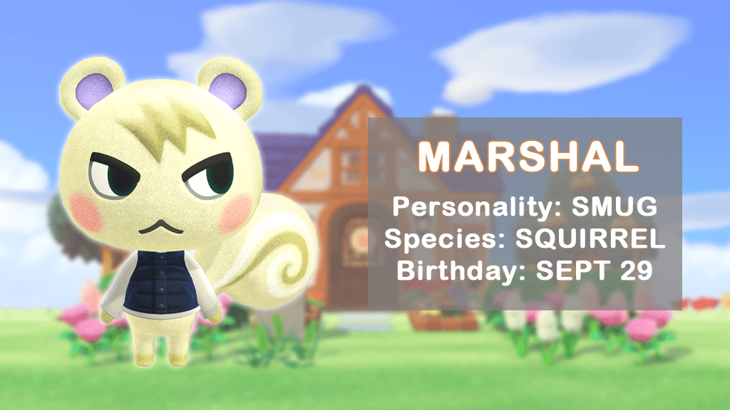 A profile of Marshal, one of the most highly sought after Animal Crossing villager.