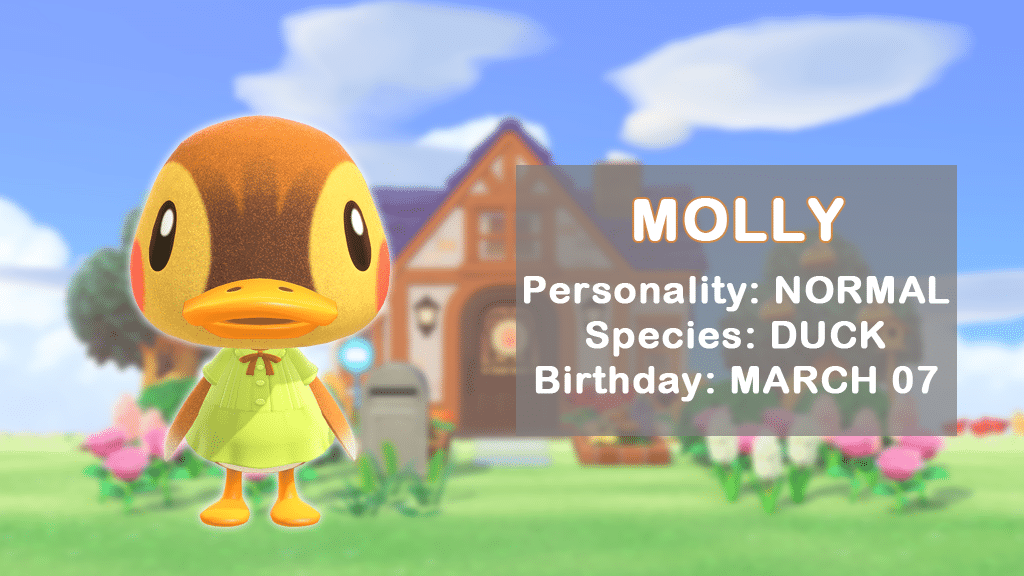 A profile of Molly, a popular duck villager in Animal Crossing.