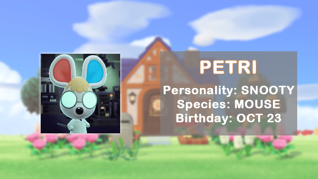 A profile of Petri, one of the newest Animal Crossing villagers.