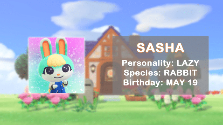 10 of the Rarest Animal Crossing Villagers, Listed - WhatIfGaming
