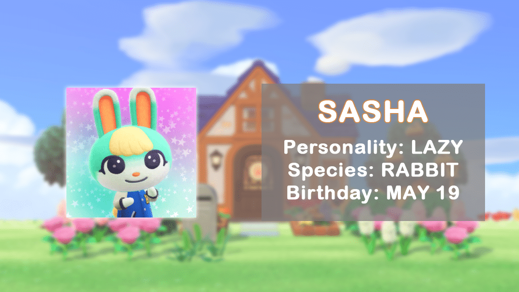 A profile of Sasha, a new rabbit villager.