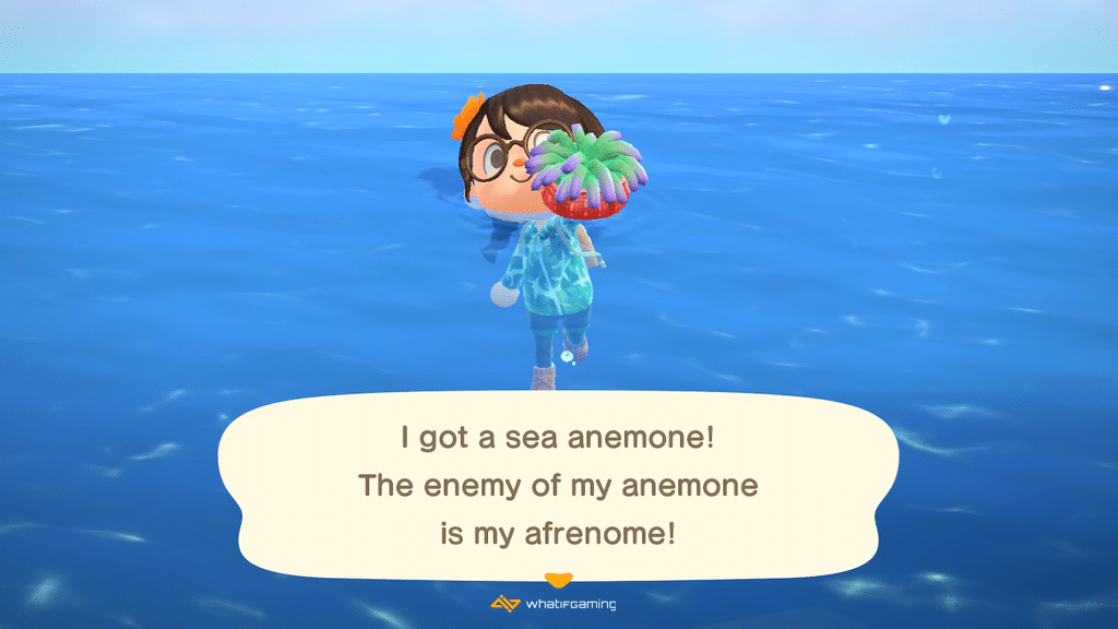 You can get deep-sea creatures through swimming and diving in Animal Crossing