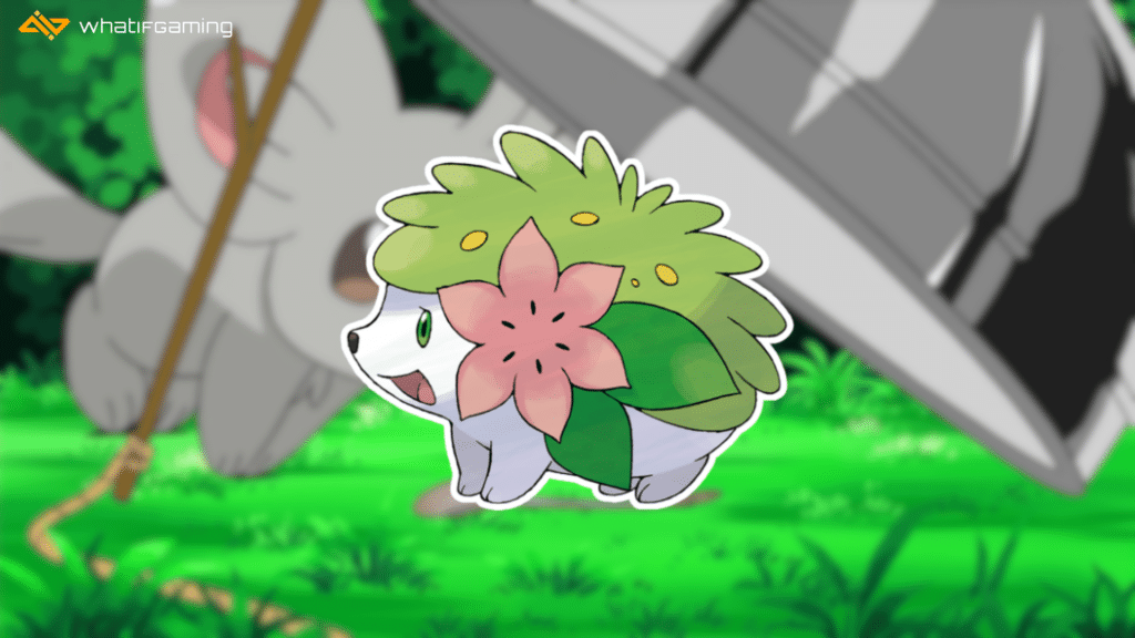 Image of Shaymin.