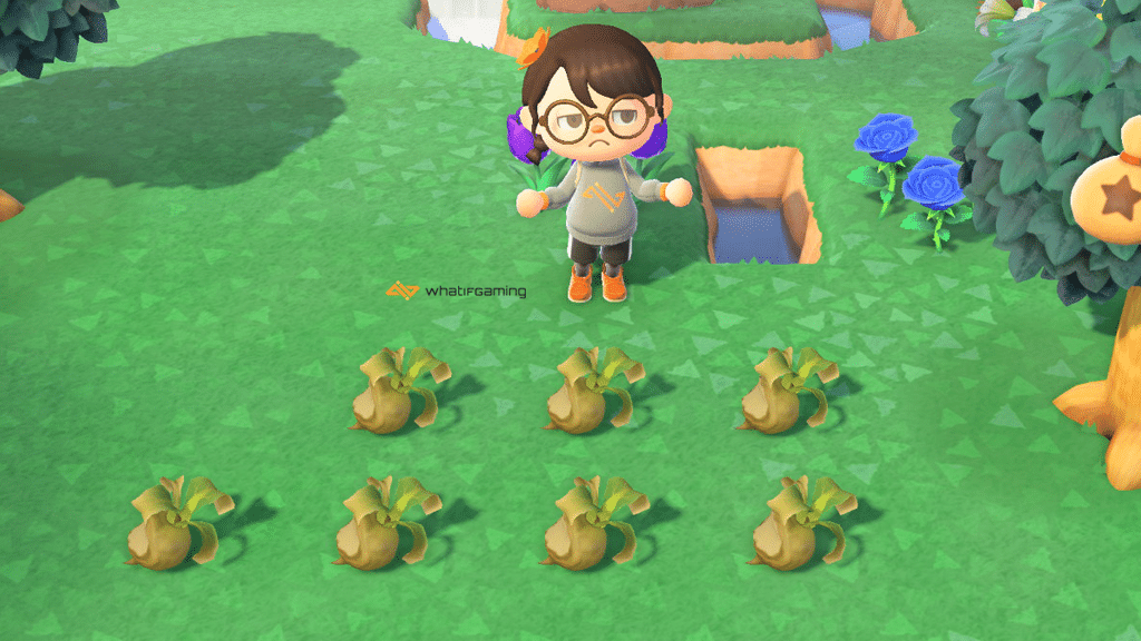 A bunch of spoiled turnips lays on the ground