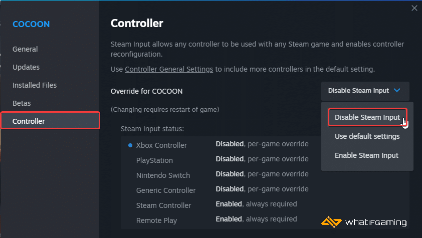 Disable Steam Input