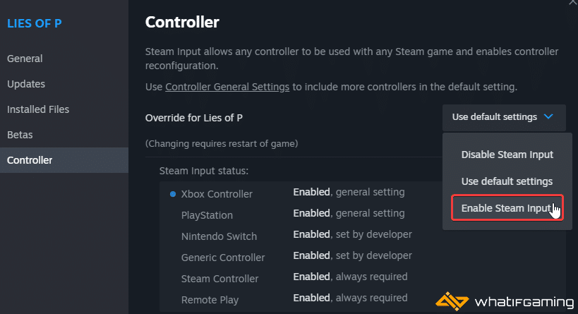 Enable Steam Input