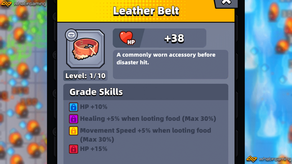 Leather Belt description