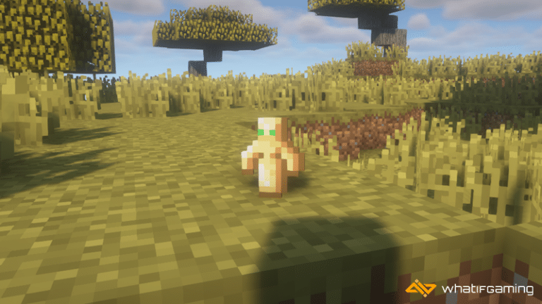 10 Rarest Items in Minecraft and How to Get Them - WhatIfGaming