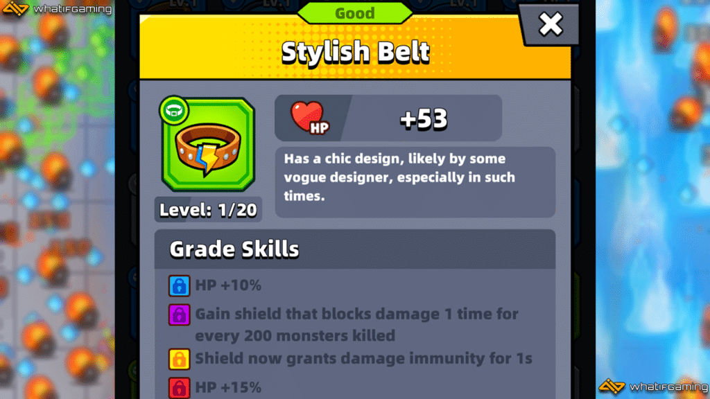 Stylish Belt description