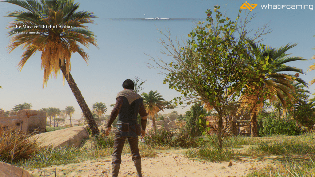 Chromatic Aberration in Assassin's Creed Mirage