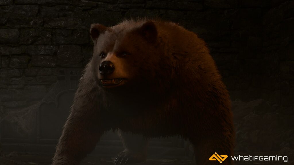 Druid Halsin in Bear Form