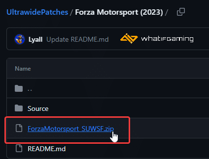 Forza Motorsport Ultrawide Patch Zip