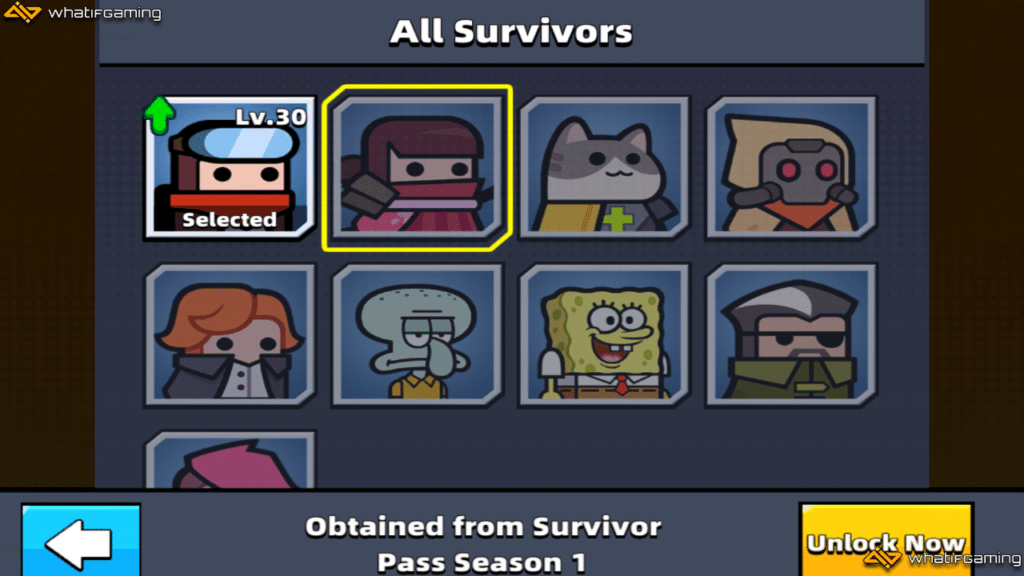A photo showing all the Survivors in Survivor.io.
