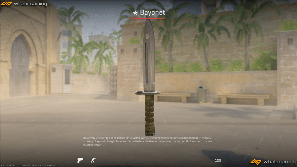 A photo of the Bayonet