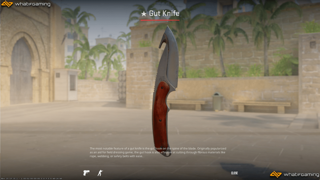 A photo of the Gut Knife in CS2