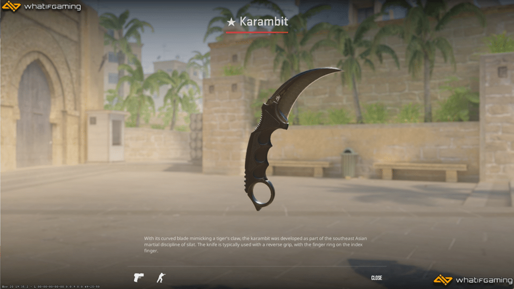 A photo of the Karambit